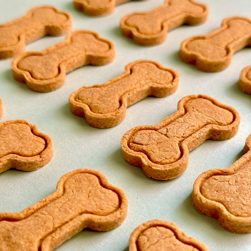 PB Bites