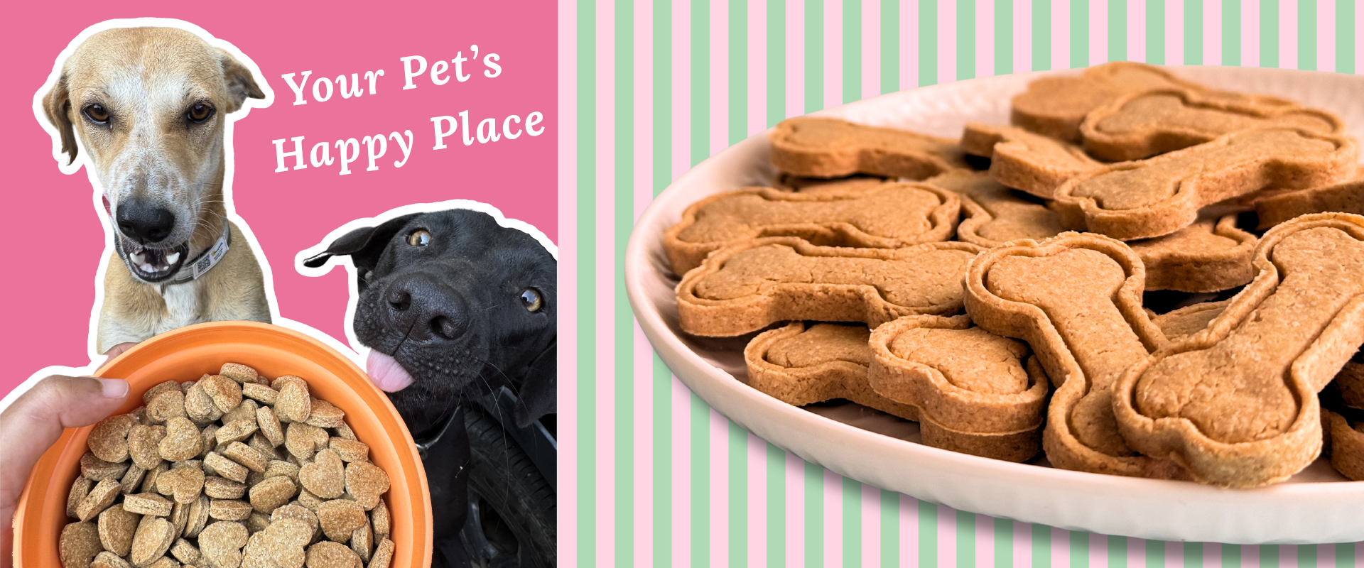 Loki's Barkery — your Pet's Happy Place